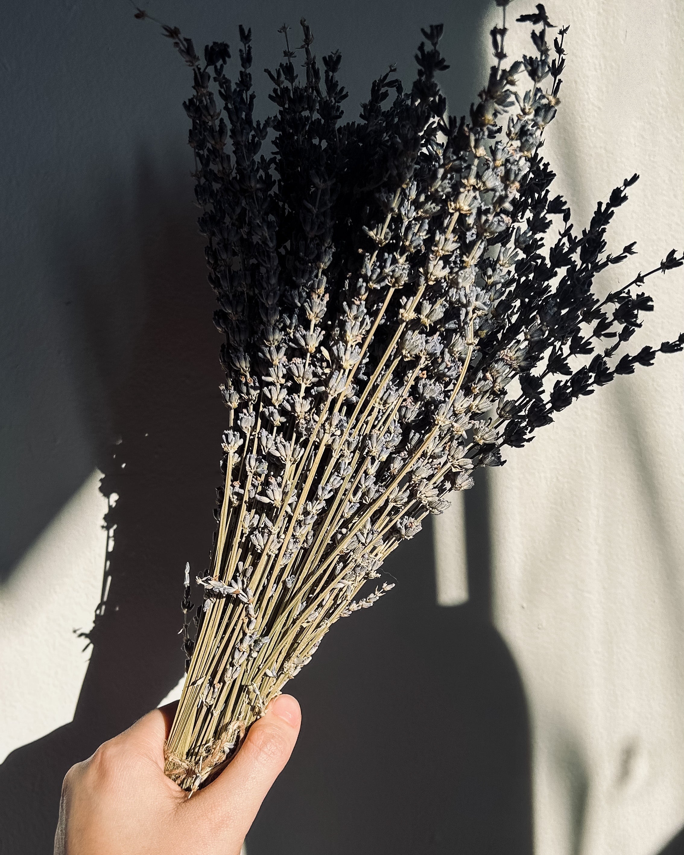 4 Self-Care Ideas to Enhance Your holistic health